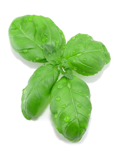 25X Basil Flavor - Oil Soluble