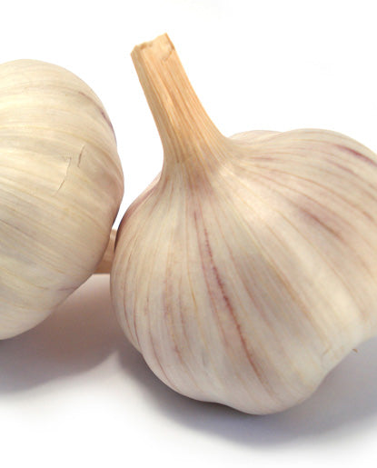 25X Garlic Flavoring - Oil Soluble