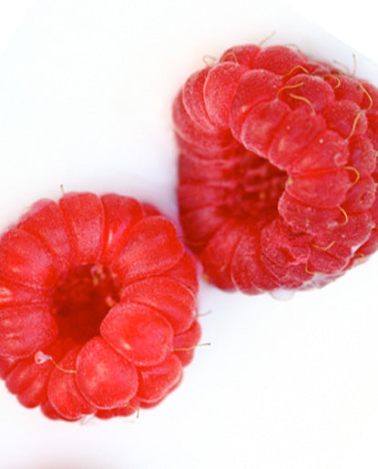 25X Red Raspberry Flavoring - Water  Soluble