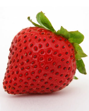 25X Strawberry, Ripe Flavoring - Water Soluble